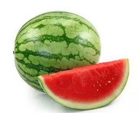 大热天吃瓜大赛