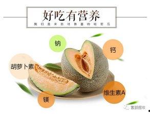 全网吃瓜大全分享,揭秘娱乐圈幕后真相与热点事件！