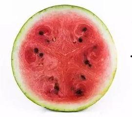 吃瓜科研,揭秘日常饮食中的科学奥秘